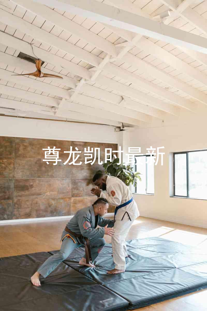 尊龙凯时最新